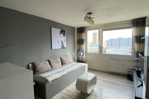 1 bedroom with open-plan kitchen flat to rent, 46 m², Poznaňská, Praha 1 bedroom with open-plan kitchen flat to rent, 46 m², Poznaňská, Praha