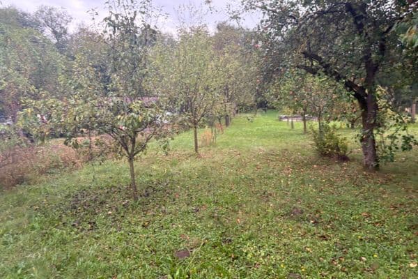 plot for sale, 890 m², Hranice plot for sale, 890 m², Hranice
