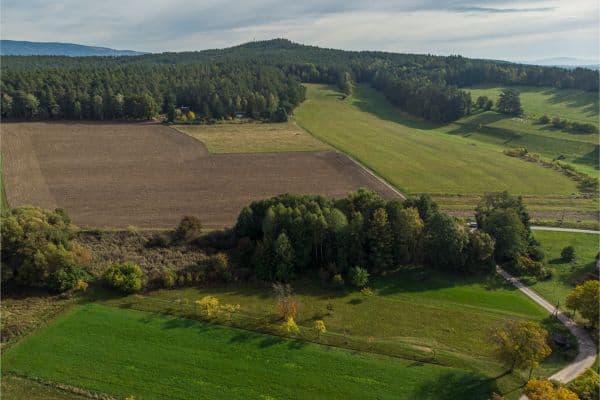 plot for sale, 3,176 m², Cetenov plot for sale, 3,176 m², Cetenov