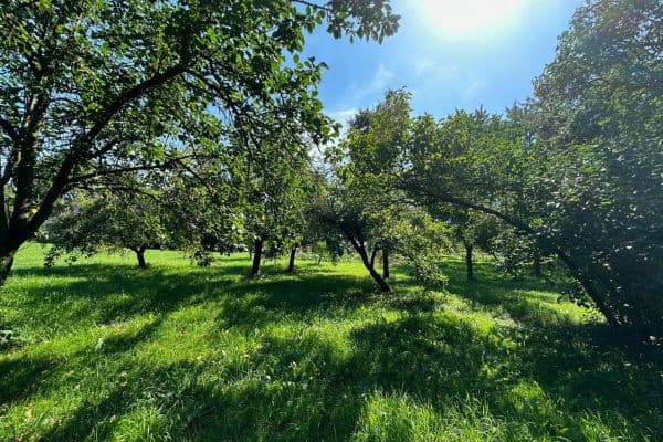 plot for sale, 2,549 m², plot for sale, 2,549 m²,