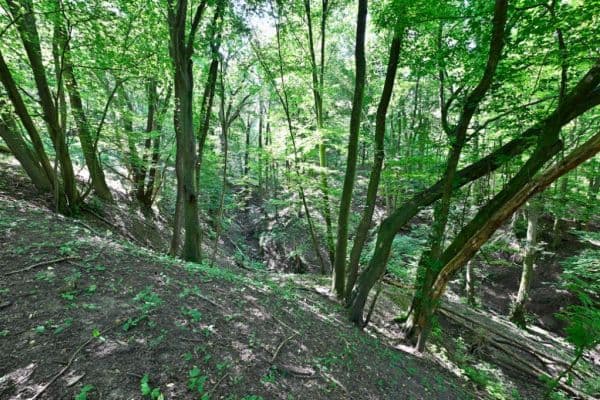 plot for sale, 3,400 m², Hřbitovní, Ústí nad Labem plot for sale, 3,400 m², Hřbitovní, Ústí nad Labem