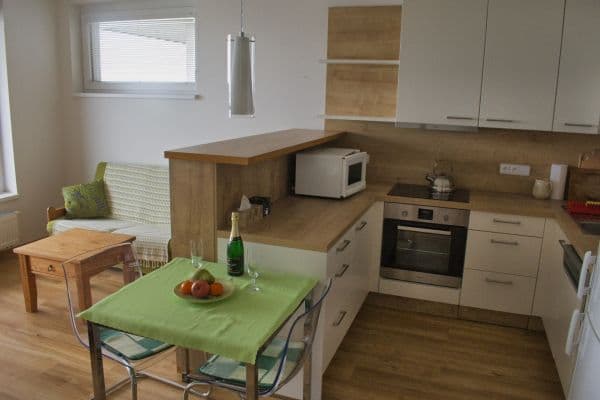 1 bedroom with open-plan kitchen flat to rent, 46 m², Svitákova, Praha 1 bedroom with open-plan kitchen flat to rent, 46 m², Svitákova, Praha