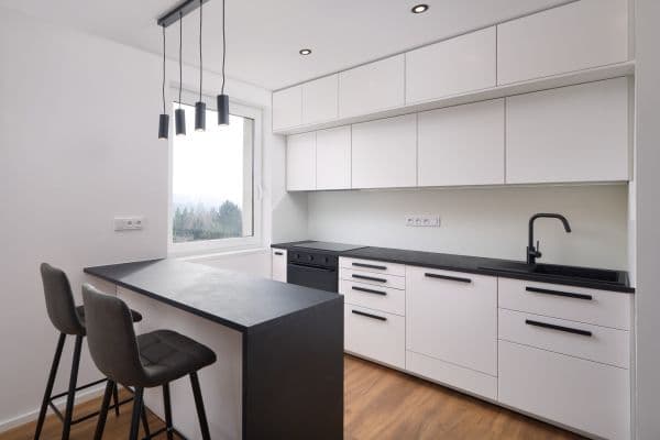 2 bedroom with open-plan kitchen flat for sale, 70 m², Poljanovova, Praha 2 bedroom with open-plan kitchen flat for sale, 70 m², Poljanovova, Praha