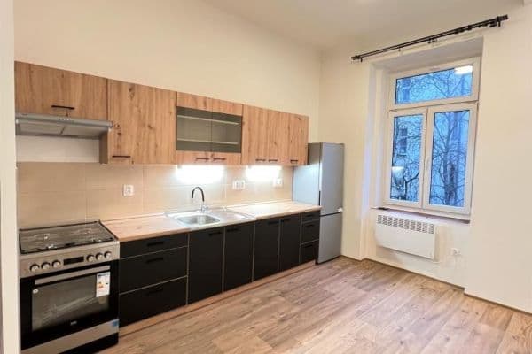 1 bedroom flat to rent, 39 m², Mánesova, Praha 1 bedroom flat to rent, 39 m², Mánesova, Praha