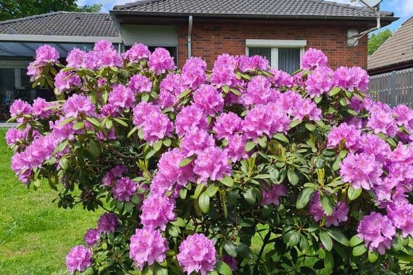 house for sale, 102 m², Hemmingstedt house for sale, 102 m², Hemmingstedt