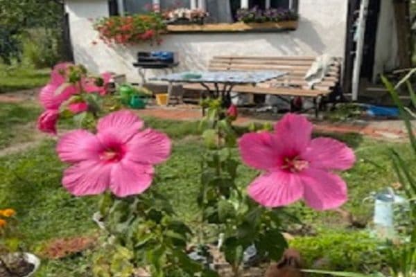 recreational property for sale, 313 m², Na Rybářce, Praha recreational property for sale, 313 m², Na Rybářce, Praha