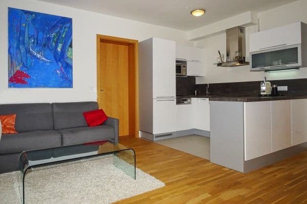 1 bedroom with open-plan kitchen flat to rent, 54 m², Na Vysoké Ⅰ, Praha 1 bedroom with open-plan kitchen flat to rent, 54 m², Na Vysoké Ⅰ, Praha