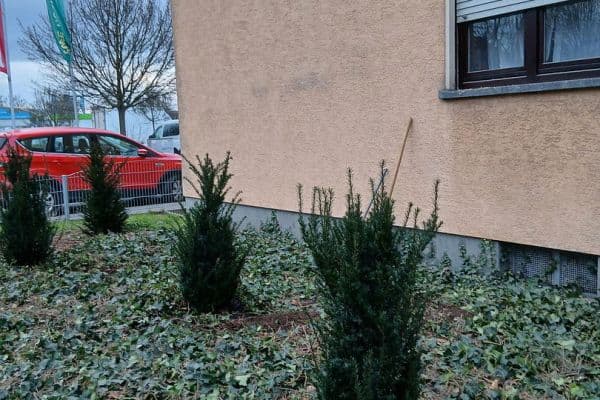 3 bedroom flat to rent, 86 m², Ludwigshafen, Rhineland-Palatinate 3 bedroom flat to rent, 86 m², Ludwigshafen, Rhineland-Palatinate