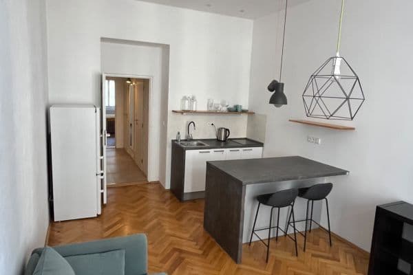 1 bedroom with open-plan kitchen flat to rent, 48 m², Mexická, Praha 1 bedroom with open-plan kitchen flat to rent, 48 m², Mexická, Praha