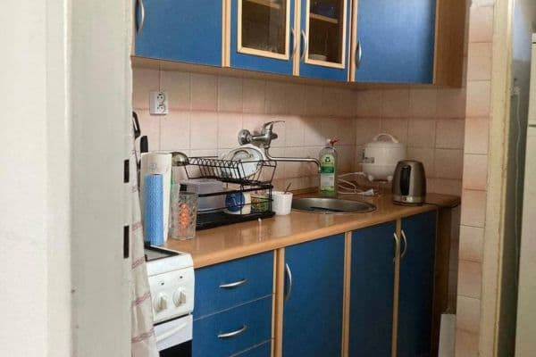 1 bedroom with open-plan kitchen flat to rent, 40 m², U Roháčových kasáren, Prague 1 bedroom with open-plan kitchen flat to rent, 40 m², U Roháčových kasáren, Prague