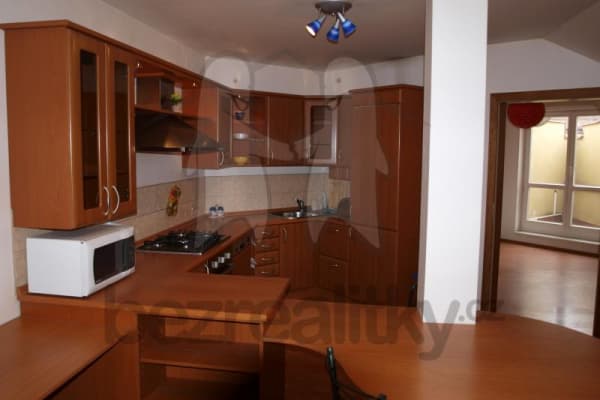 1 bedroom with open-plan kitchen flat to rent, 64 m², Sochařská, Prague, Prague