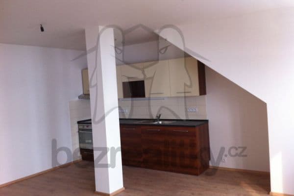 1 bedroom with open-plan kitchen flat to rent, 63 m², Jana Palacha, Pardubice, Pardubický Region