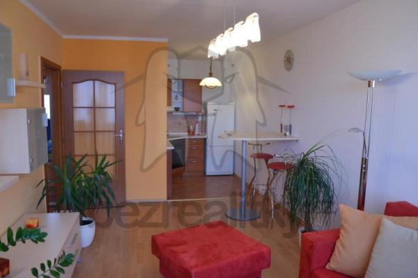 1 bedroom with open-plan kitchen flat to rent, 45 m², Roudnická, 