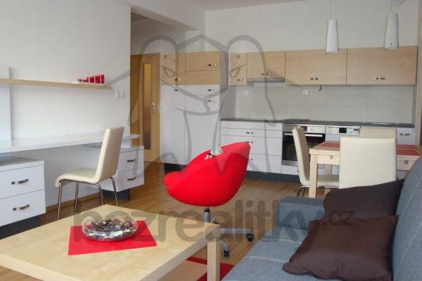 1 bedroom with open-plan kitchen flat to rent, 55 m², Podlesí II, 