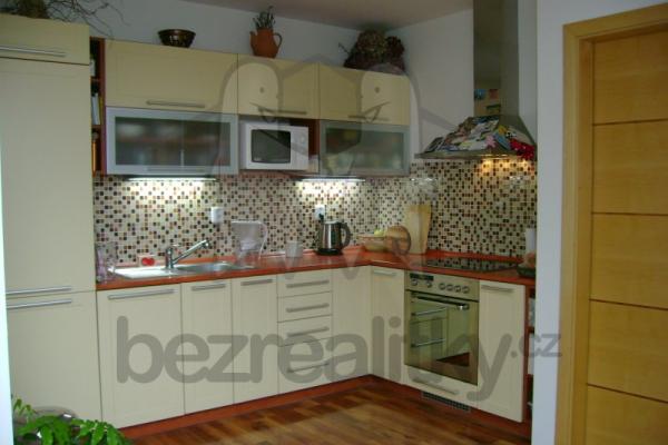 1 bedroom with open-plan kitchen flat to rent, 45 m², Černého, Brno
