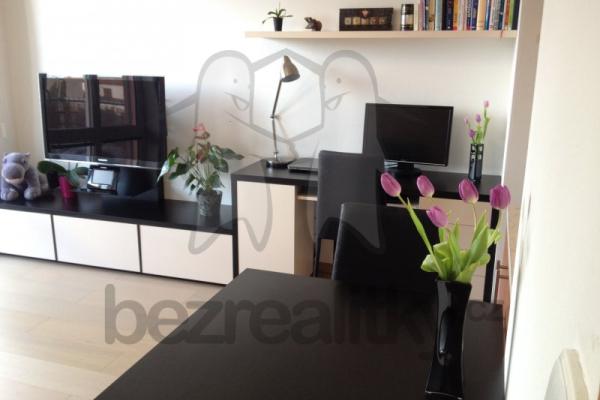 1 bedroom with open-plan kitchen flat to rent, 45 m², Holubí, 