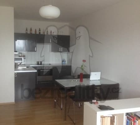 1 bedroom with open-plan kitchen flat to rent, 60 m², V dolině, 1 bedroom with open-plan kitchen flat to rent, 60 m², V dolině,