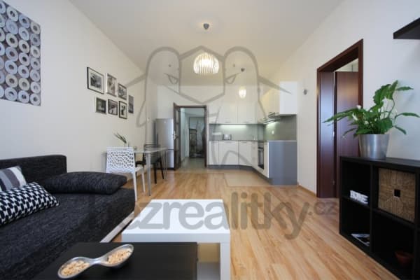 1 bedroom with open-plan kitchen flat to rent, 50 m², Freyova, Prague, Prague