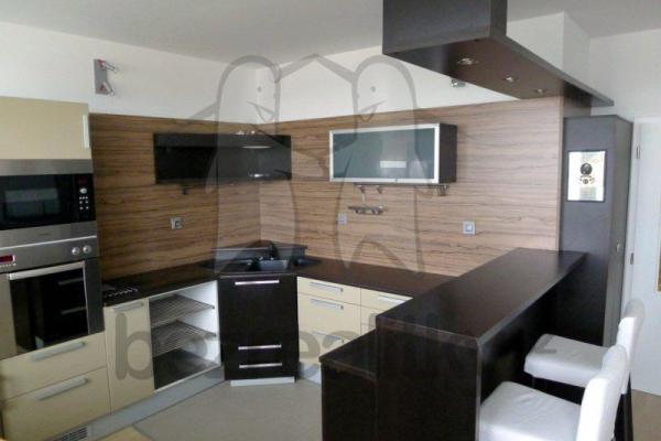 1 bedroom with open-plan kitchen flat to rent, 67 m², Petržílkova, Praha