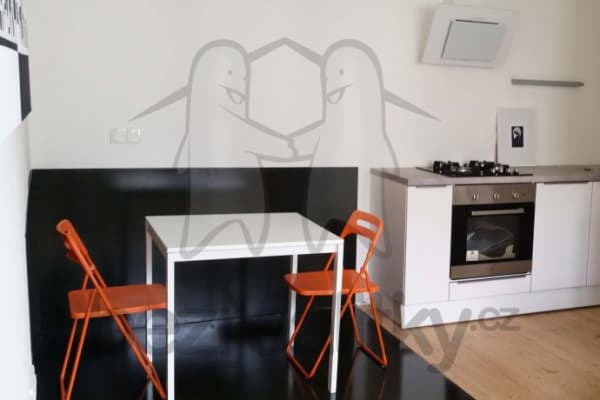 1 bedroom with open-plan kitchen flat to rent, 48 m², Starodružiníků, Olomouc, Olomoucký Region