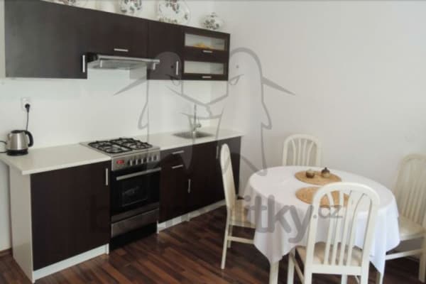 1 bedroom with open-plan kitchen flat to rent, 50 m², Zahradníkova, 